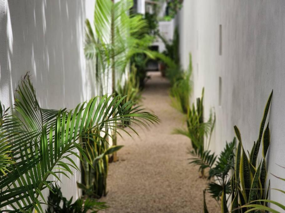 Ferienwohnung Amazing Jungle Retreat Lahkah Tulum Exterior foto