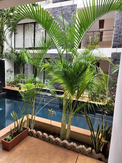 Ferienwohnung Amazing Jungle Retreat Lahkah Tulum Exterior foto