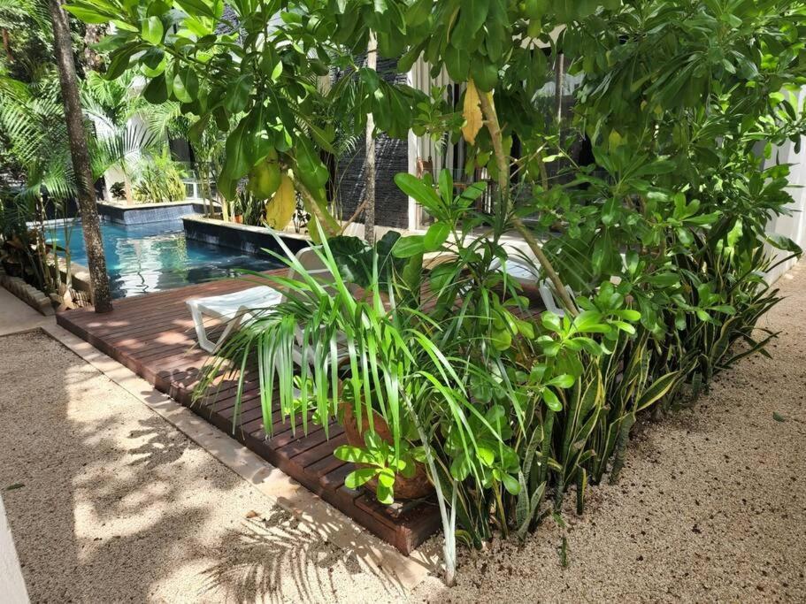 Ferienwohnung Amazing Jungle Retreat Lahkah Tulum Exterior foto